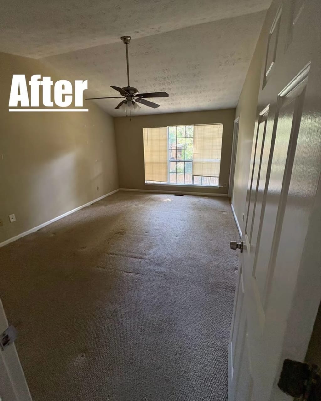 Professional cleaning presentation